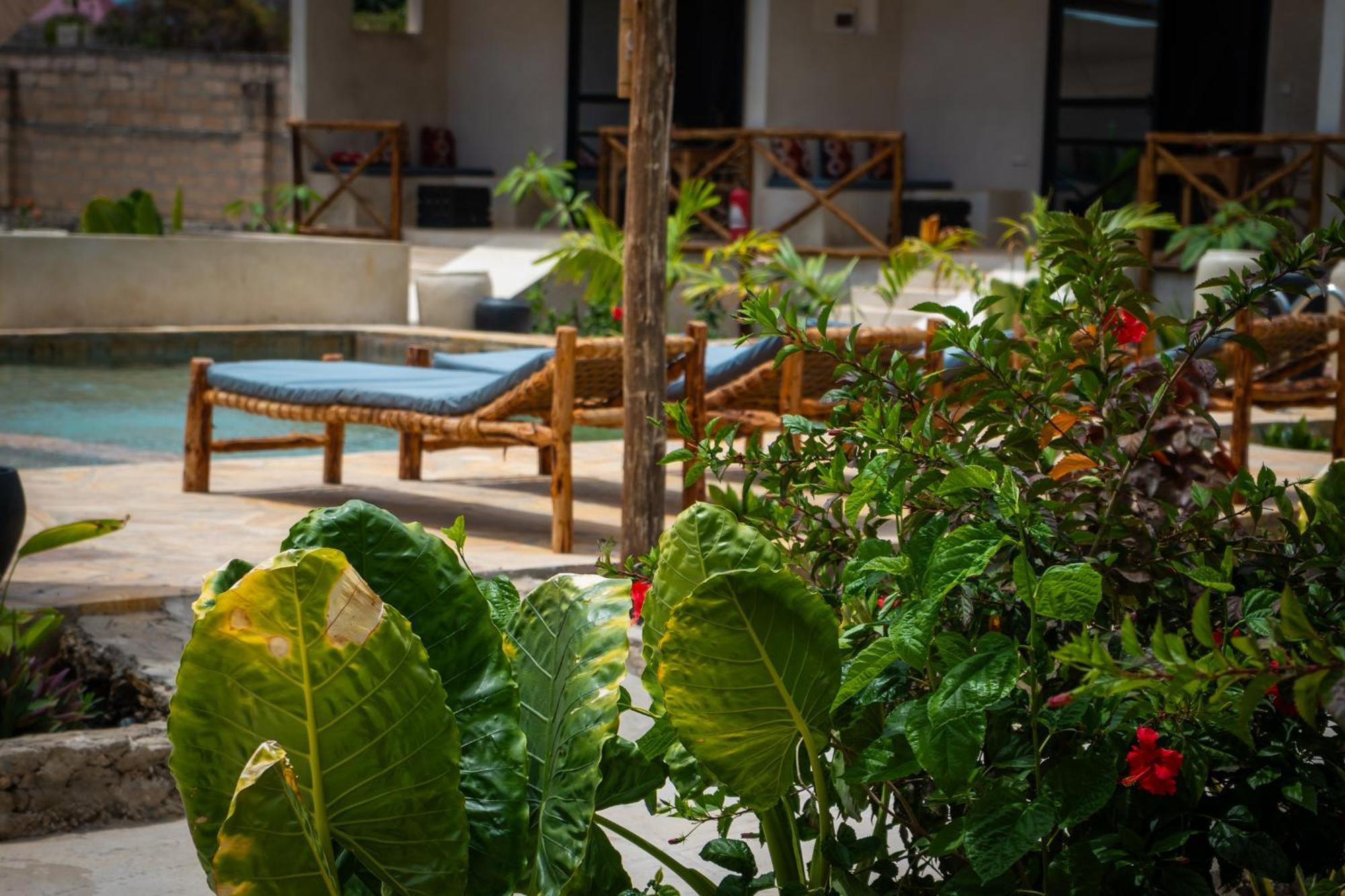 Blooming Zanzibar Hotel Jambiani  Exterior foto